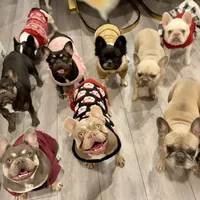 processed/1e4ac211-7774-4104-8f99-d8de229d87a6/facility/4e581288-55bc-4618-bfdb-835d94a53f33