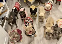 processed/1e4ac211-7774-4104-8f99-d8de229d87a6/facility/4e581288-55bc-4618-bfdb-835d94a53f33