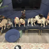 processed/1e4ac211-7774-4104-8f99-d8de229d87a6/facility/6765226c-5a21-4542-8b5f-6f8eec84cc50