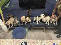 processed/1e4ac211-7774-4104-8f99-d8de229d87a6/facility/6765226c-5a21-4542-8b5f-6f8eec84cc50