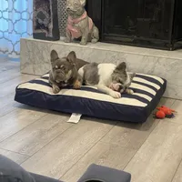 processed/1e4ac211-7774-4104-8f99-d8de229d87a6/facility/7fc2be95-d748-43d8-82f7-f0f98e22732f