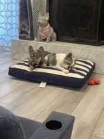 processed/1e4ac211-7774-4104-8f99-d8de229d87a6/facility/7fc2be95-d748-43d8-82f7-f0f98e22732f