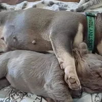 processed/1e4ac211-7774-4104-8f99-d8de229d87a6/facility/940f342d-b549-499c-99f4-df8c1a036707