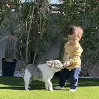 processed/1e4ac211-7774-4104-8f99-d8de229d87a6/facility/baf74c9d-35ad-4f07-9ff7-4ca56e9dc0ce