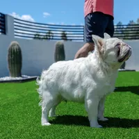 processed/1e4ac211-7774-4104-8f99-d8de229d87a6/facility/dfc28458-9dcc-4f13-aae0-e3d82ec6363a