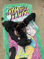 Draco (Blue Boy), a male Boxer and Cane Corso for sale in Glendale Heights, IL – Photo 7 of 7