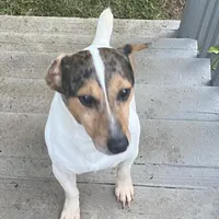 processed/1e594876-3258-4048-8ac8-4f02a7d0525b/facility/0b8e649f-91fc-4fc9-ba39-6001376628a8