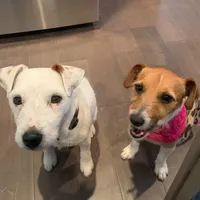 processed/1e594876-3258-4048-8ac8-4f02a7d0525b/facility/53f6cf4b-bb2d-447e-b3f1-1244ee2eb50b