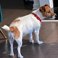 processed/1e594876-3258-4048-8ac8-4f02a7d0525b/facility/9b0d9bce-91a7-4508-8df8-72731e3637c7