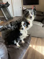 processed/1e630fa6-1e54-4ec5-b553-069dac3d5c09/facility/1baefc28-a683-48f7-97f8-f2be77986999