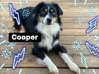 processed/1e630fa6-1e54-4ec5-b553-069dac3d5c09/facility/34ab6d3e-5e57-4b6b-86af-8d28cb4cb0d2