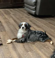 processed/1e630fa6-1e54-4ec5-b553-069dac3d5c09/facility/413246da-ed80-48a6-989f-459c8051a2fa