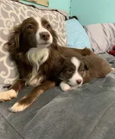 processed/1e630fa6-1e54-4ec5-b553-069dac3d5c09/facility/4a1302ca-50d2-42bb-89c3-9df8a8f92236