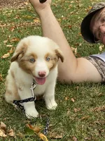 processed/1e630fa6-1e54-4ec5-b553-069dac3d5c09/facility/5ead1eb1-d167-4ff5-a082-0cb51a334fbd