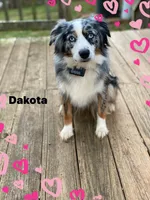 processed/1e630fa6-1e54-4ec5-b553-069dac3d5c09/facility/6951f238-40fd-4046-928f-cc837458c7e2