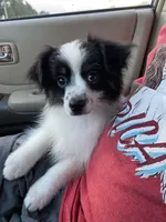 processed/1e630fa6-1e54-4ec5-b553-069dac3d5c09/facility/851d8183-a2da-44af-9b7b-bdd9cda8b8c3