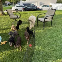 processed/1e764577-aac4-4869-afcd-5ed395699d30/facility/23c8985d-ad80-4a2a-a16e-cca5edfe7d90