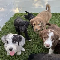 processed/1e764577-aac4-4869-afcd-5ed395699d30/facility/4995dfcd-309c-4120-acc1-2ade8d5e883c