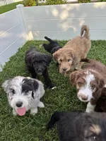 processed/1e764577-aac4-4869-afcd-5ed395699d30/facility/4995dfcd-309c-4120-acc1-2ade8d5e883c