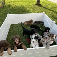 processed/1e764577-aac4-4869-afcd-5ed395699d30/facility/5ee357df-2060-42e5-847f-1fb414c32186