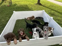 processed/1e764577-aac4-4869-afcd-5ed395699d30/facility/5ee357df-2060-42e5-847f-1fb414c32186