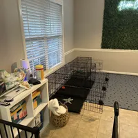 processed/1e764577-aac4-4869-afcd-5ed395699d30/facility/7bfdb276-11bf-466a-ab71-8b42db1c0282