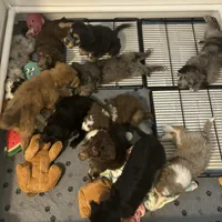 processed/1e764577-aac4-4869-afcd-5ed395699d30/facility/fa08e7e2-114e-48bf-9186-285b0e750f21