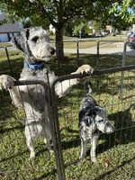 processed/1e764577-aac4-4869-afcd-5ed395699d30/listing/0a0701ea-5d4a-4863-b2fb-88e92ca78d24/5dda6a8c-6b3f-48fe-98e3-fa957c54a4e7