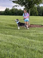 processed/1e764577-aac4-4869-afcd-5ed395699d30/listing/0a0701ea-5d4a-4863-b2fb-88e92ca78d24/67fab7d2-9385-48c5-bd73-14b6047dfa20