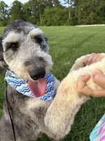 processed/1e764577-aac4-4869-afcd-5ed395699d30/listing/0a0701ea-5d4a-4863-b2fb-88e92ca78d24/79240297-1fd6-4a7e-a977-6a4e3f0ec837