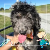 processed/1e764577-aac4-4869-afcd-5ed395699d30/listing/0a0701ea-5d4a-4863-b2fb-88e92ca78d24/dc15b0fe-a5a3-405a-a086-8c9eabafa9cf