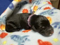 processed/1e764577-aac4-4869-afcd-5ed395699d30/listing/0a0701ea-5d4a-4863-b2fb-88e92ca78d24/dcd17c9a-f9e7-4601-9772-edb21f2f6a2a