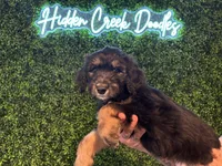 processed/1e764577-aac4-4869-afcd-5ed395699d30/listing/0a0701ea-5d4a-4863-b2fb-88e92ca78d24/deec3432-06b4-4b54-8c84-30ddd2fc1dd0