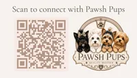 Everett, a male Yorkshire Terrier for sale in San Antonio, TX – 6 of 7