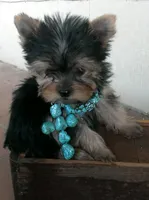 processed/1e832dd1-e824-4f1b-b0ec-db38de4cb50f/facility/014ca4ac-8a2e-4800-903a-feeb131e4b77