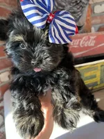 processed/1e832dd1-e824-4f1b-b0ec-db38de4cb50f/facility/390c9288-5346-4eb3-858a-ede703e51792