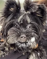 processed/1e832dd1-e824-4f1b-b0ec-db38de4cb50f/facility/91eafe71-d851-4800-825a-0253b2be4e4c