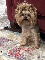 processed/1e832dd1-e824-4f1b-b0ec-db38de4cb50f/facility/e28b049b-d1c5-4c3b-96a0-dc294052a53e