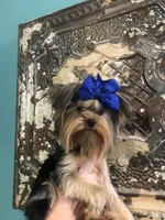 processed/1e832dd1-e824-4f1b-b0ec-db38de4cb50f/facility/eb9e7b9b-9948-435d-b752-7084658abf51