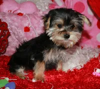 processed/1e84a876-3a1a-450a-a575-aca3db9d362a/listing/59cb7946-1f10-49ee-a135-c12c781531ff/08d5997c-6c0a-4348-af6e-f5015ed4d498