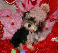 processed/1e84a876-3a1a-450a-a575-aca3db9d362a/listing/59cb7946-1f10-49ee-a135-c12c781531ff/7a2fc36b-8604-48ef-b11a-e86a76b01579