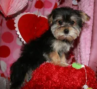 processed/1e84a876-3a1a-450a-a575-aca3db9d362a/listing/59cb7946-1f10-49ee-a135-c12c781531ff/889481dc-52fd-43e0-8cf6-dd9196ebf330