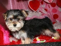 processed/1e84a876-3a1a-450a-a575-aca3db9d362a/listing/59cb7946-1f10-49ee-a135-c12c781531ff/9847ec96-a9e2-48b0-be47-f9fdd18e6817