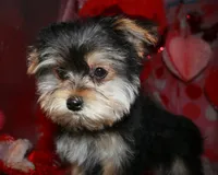 processed/1e84a876-3a1a-450a-a575-aca3db9d362a/listing/59cb7946-1f10-49ee-a135-c12c781531ff/b2fd5b07-a899-49c1-81be-d8e406b13bf7