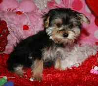 processed/1e84a876-3a1a-450a-a575-aca3db9d362a/listing/59cb7946-1f10-49ee-a135-c12c781531ff/ba6ab891-2868-4451-8c2f-9d5b8d0714a9