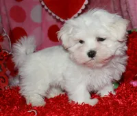 processed/1e84a876-3a1a-450a-a575-aca3db9d362a/listing/85f4cd8b-376a-4761-ab3f-cfc7c87b7d77/720d15a8-5d6e-4168-999b-40bebb04a5be