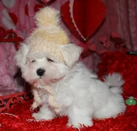 processed/1e84a876-3a1a-450a-a575-aca3db9d362a/listing/85f4cd8b-376a-4761-ab3f-cfc7c87b7d77/7b75f7ce-9f58-408e-9f79-9f9f95e68db9