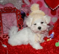 processed/1e84a876-3a1a-450a-a575-aca3db9d362a/listing/85f4cd8b-376a-4761-ab3f-cfc7c87b7d77/fac27d62-5f57-45bf-887d-fb7c56da6c7b