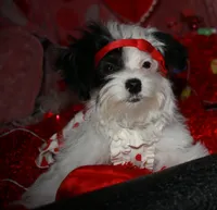 processed/1e84a876-3a1a-450a-a575-aca3db9d362a/listing/c730ccbd-4a4d-49ba-9ddd-e440e3e48543/2943369c-52dd-47cf-98cd-0bee4bcc0cfe