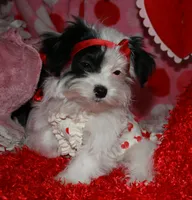 processed/1e84a876-3a1a-450a-a575-aca3db9d362a/listing/c730ccbd-4a4d-49ba-9ddd-e440e3e48543/294a5faa-0a1c-4d89-b678-22447b87a2d2